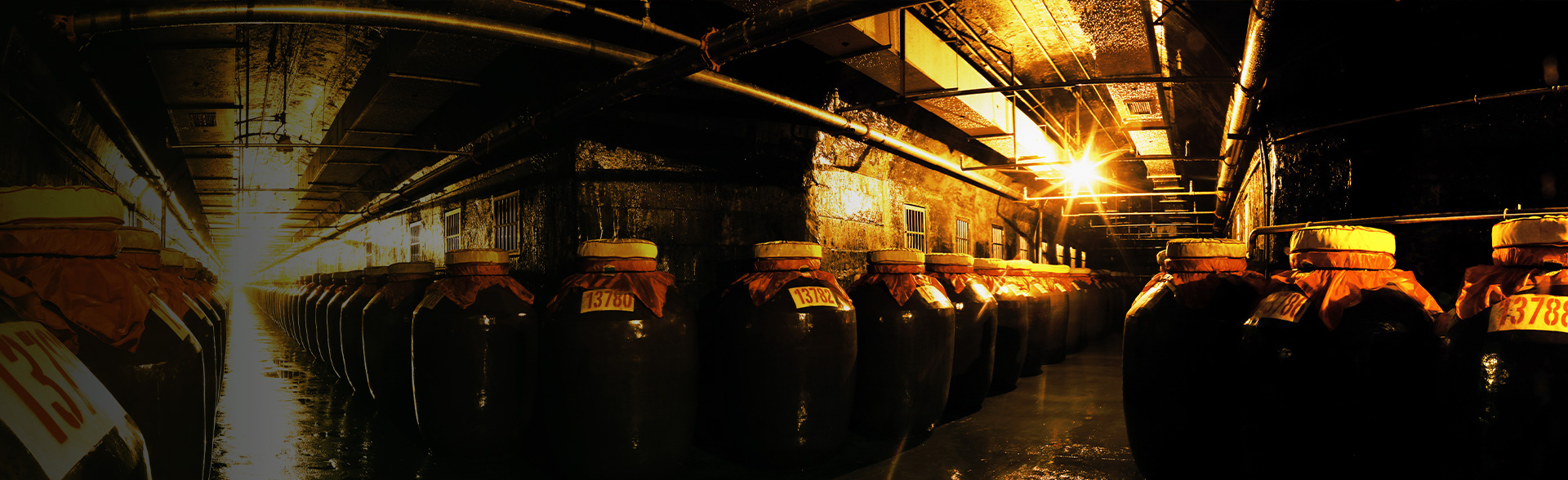 白(bái)酒主業(yè)